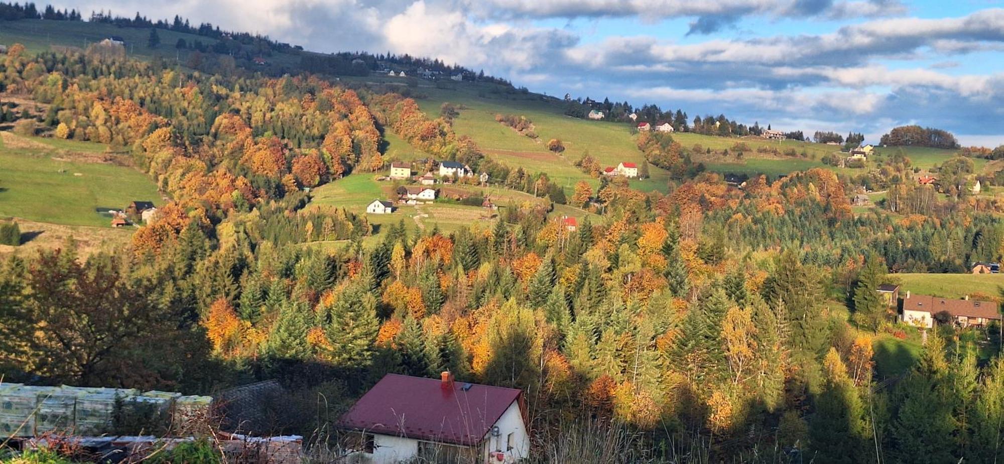 Koniaków Agroturystyka Koronkowe Zacisze מראה חיצוני תמונה