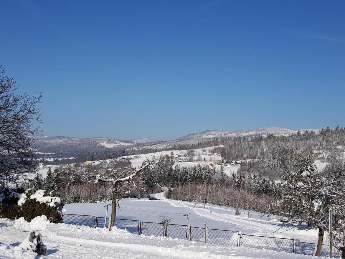 Koniaków Agroturystyka Koronkowe Zacisze מראה חיצוני תמונה